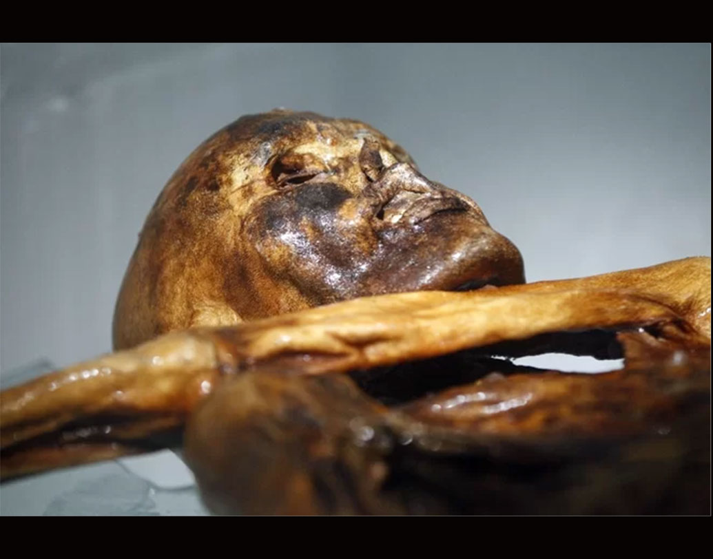 সেই মমি থেকেই গবেষকরা জানার চেষ্টা করেছিলেন, মমিটির বয়স কত। কী ভাবে মৃত্যু হয়েছিল এই ব্যক্তির। একে নাম দেওয়া হয় ওৎজ়ি আইসম্যান। তাঁর পশমের চামড়ার কোট, ছাগলের চামড়ার পোশাক, দাঁতের অংশ, গোড়ালি সবকিছুই  নিয়েই শুরু হয় গবেষণা। জানা যায়, মমির বয়স প্রায় ৫৩০০ বছর।