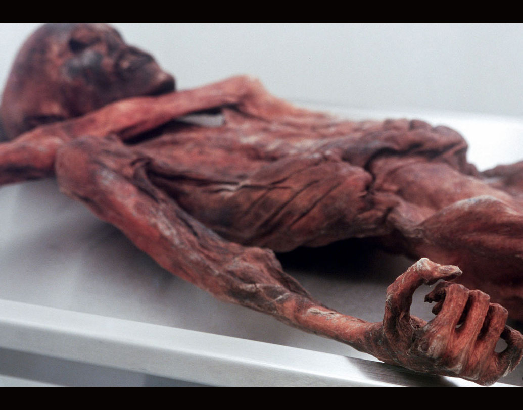 ইতালির বোলজ়ানোর ইউর‍্যাক রিসার্চ ইনস্টিটিউট ফর মামি স্টাডিজের বিজ্ঞানী ড. ফ্রাঙ্ক মেইক্সনার জানান, এই বরফ যুগের মানুষটির বাস যে স্থানে ছিল তা নিয়ে গবেষণা চলছে। তিনি যেখানে শিকার করছিলেন সেখানে দেহের জন্যে বাড়তি শক্তি দরকার। আর তা পেতে বাড়তি ফ্যাটও দরকার। রুক্ষ্ম পরিবেশে বেঁচে থাকতে প্রয়োজনীয় শক্তি একমাত্র ফ্যাটই দিতে পারে।