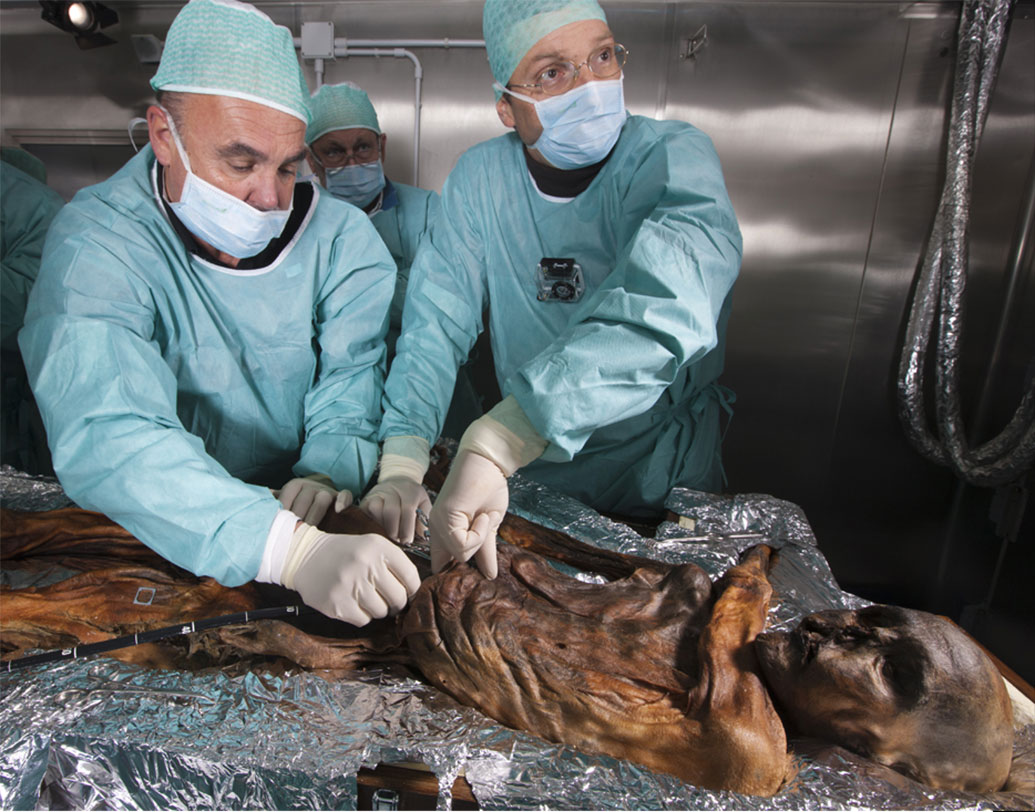 সম্প্রতি কারেন্ট বায়োলজিতে প্রকাশিত গবেষণায় বলা হয়, তাম্র যুগে মানুষ কী খেত, তার ধারণা মেলে এই প্রাকৃতিক মমির থেকে। বছর বছর ধরে তার দেহ প্রাকৃতিকভাবেই মমিতে পরিণত হয়েছে। প্রাকৃতিক কারণেই পাকস্থলী স্থান বদল করেছিল। তবে দেহের ভেতরেই ছিল।