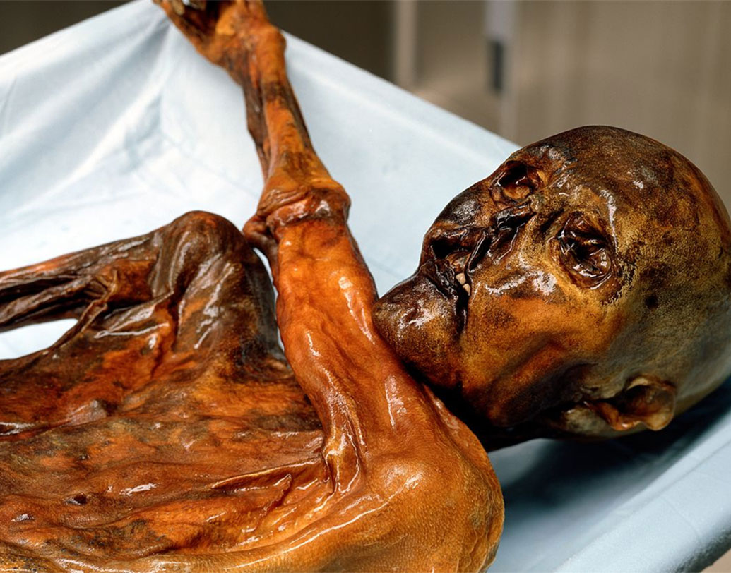 তবে তিনি ভেষজ খাবারও খেয়েছিল। চিকিৎসার কাজে কিংবা এমনিতেই। তার পাকস্থলীতে পাওয়া গেছে ব্র্যাকেন নামের এক ধরনের ফার্ন। এটা একটু বিষাক্ত। আবার এমনও হতে পারে, এই উদ্ভিদের পাতায় করে খাবার খেয়েছিলেন। আর ভুল করে কিছু ফার্নও তার পেটে চলে যায়।