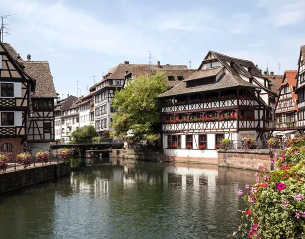 অজ্ঞান হয়ে গিয়েছেন কেউ কেউ। বাকিরা ফের নাচতে শুরু করেছেন।শহরের শাসকগোষ্ঠীর ধারণা হল, এ ভাবে অবিরত বাধাহীন  ভাবে নাচতে দিলে নিশ্চয়ই ক্লান্ত হয়ে নাচের ঝোঁক থেমে যাবে। বন্ধ হবে এ উন্মাদ নৃত্য। তাই তাঁরা শহরের টাউনহলে সেসব মানুষের নাচার ব্যবস্থা করে দিলেন।