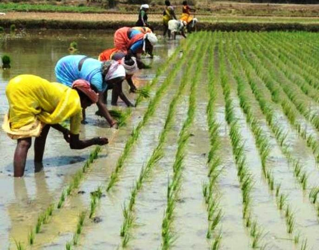 প্রায় ৪০,১৯২ হেক্টর জমিতে সেচের কাজ করা যেত। ১৬২টি ছোট সেচ প্রকল্প মেরামত, রক্ষণাবেক্ষণ করা যেত এই টাকায়। ৪২৫টি ছোট বাঁধ তৈরি করা যেতে পারত এই টাকা দিয়েই।