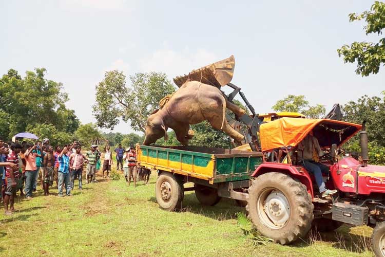 Elephant dies in Nayagram