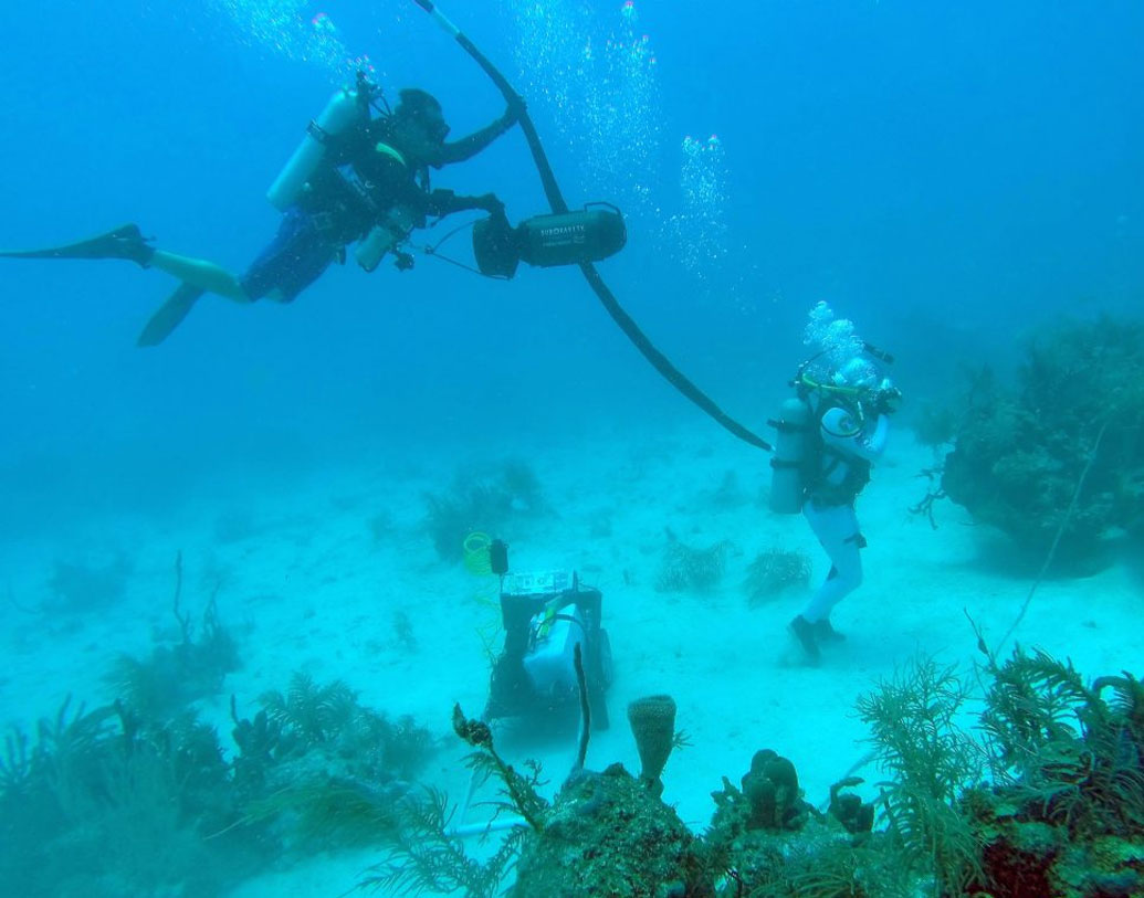 মোহরের সন্ধানে নামানো হয়েছে ডুবুরি। শুধু সোনা নয়, রয়েছে প্রচুর রুপোর মুদ্রাও। যে জাহাজ ডুবে গিয়েছিল তার মধ্যে একজন ধনী যাত্রী ছিলেন। তার কাছেই এই স্বর্ণমুদ্রাগুলি ছিল বলে জানা গিয়েছে।