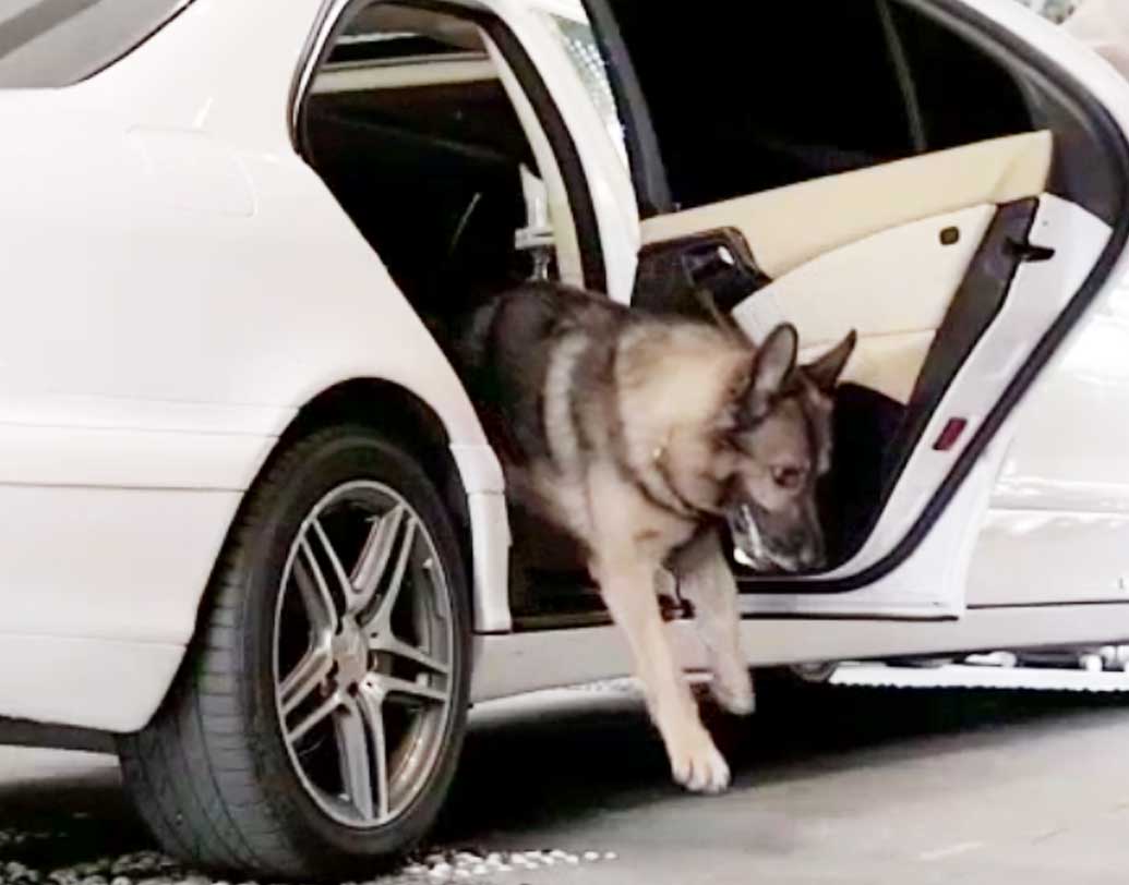 বিভিন্ন দেশে বাড়ি রয়েছে গান্থারের। রাজার হালে থাকে সে। সপ্তাহান্তে বেড়াতেও যায়। যার অত টাকা, পাবলিক ট্রান্সপোর্ট কি তার সয়? তাই ব্যক্তিগত গাড়িই পছন্দ। তবে যে সে গাড়ি নয়, এক্কেবারে লিম্যুজিন। যাতে হাত পা ছড়িয়ে বসাও যায়, আবার মন চাইলে এ মাথা থেকে ও মাথা দৌড়ে বেড়ানোও যায়।