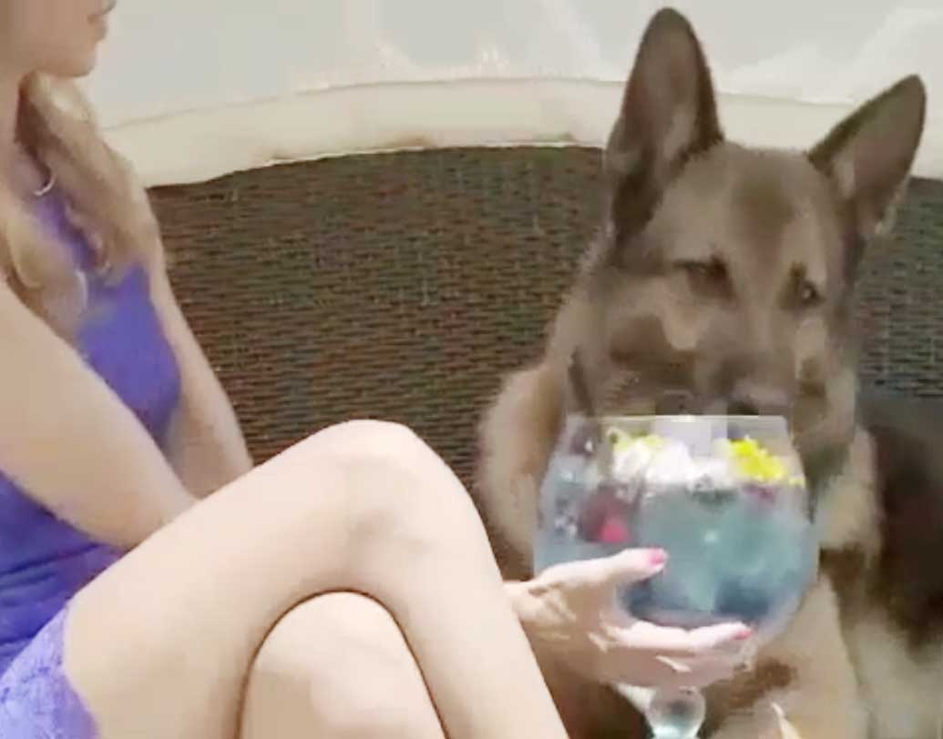 তবে হোটেল নিয়েও ছুতমার্গ রয়েছে বিস্তর। পাঁচতারা হোটেলের সার্ভিসেই একমাত্র ভরসা তার। যাতে খাবারদাবার থেকে বিছানার চাদর, সবকিছুই হয় পরিপাটি। থাকে স্পায়ের বন্দোবস্তও। হোটেলে পৌঁছে প্রথমে কিছু ক্ষণ বিশ্রাম নেয় সে। টিভিতে কার্টুন দেখে সময় কাটায়। তার পর লনে খেলাধূলা করে। অবসরে খায় তার প্রিয় পানীয়।