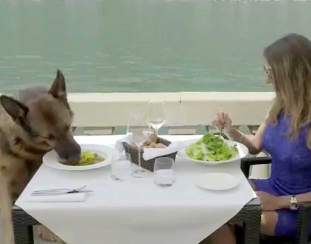 তার পর ফ্রেশ হয়ে লাস্যময়ী কোনও তরুণীর সঙ্গে খেতে যায়। স্টার্টার, মেনকোর্স এবং ডেজার্ট, সবই থাকে তার পাতে। পেটপুজো হলে নৌকো বিহারে যাওয়া চাই গান্থারের। ফিরে সুইমিং পুলের ধারে কিছুটা সময় কাটায়। সেখানে তার সেবা করতে হাজির থাকে দু'-তিন জন। তারাই হোটেলের ঘরে পৌঁছে দেয় তাকে। নৈশভোজ সেরে তার পর ঘুমাতে যায় গান্থার।