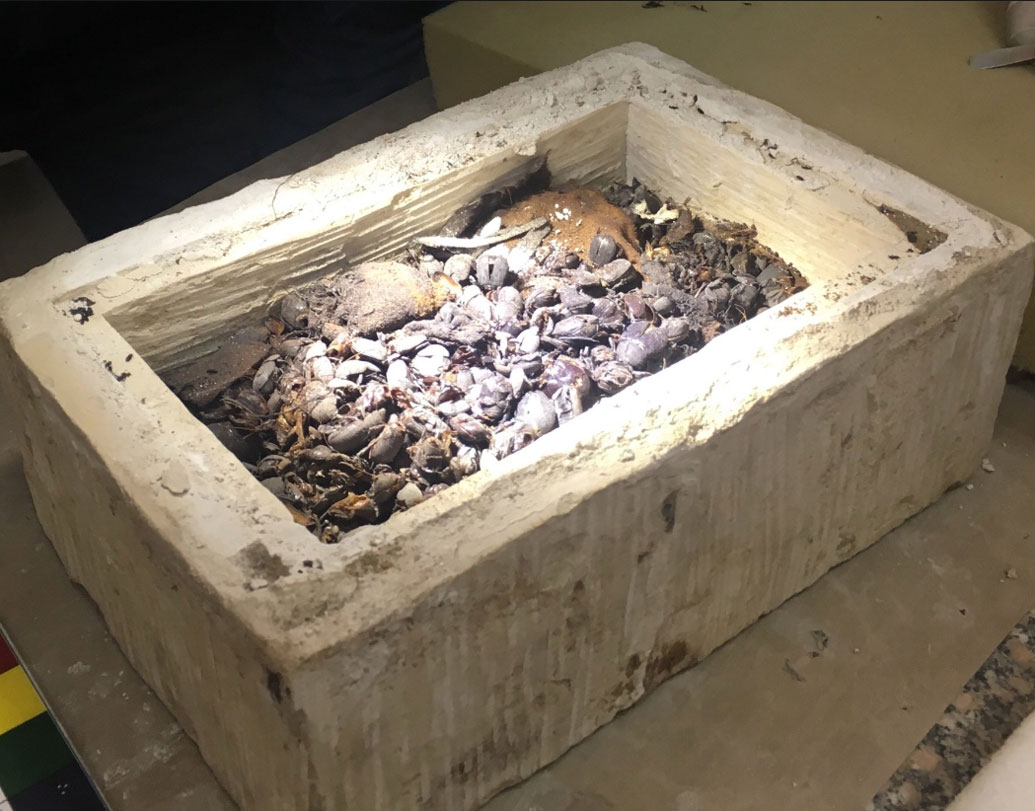 লিনেনে মোড়া দু’টি গুবরে পোকা একটি কারুকাজ করা পাত্রের মধ্যেই ছিল। ছোট্ট একটি কফিনে আরও বেশ কয়েকটি পোকার মমি মিলেছে।