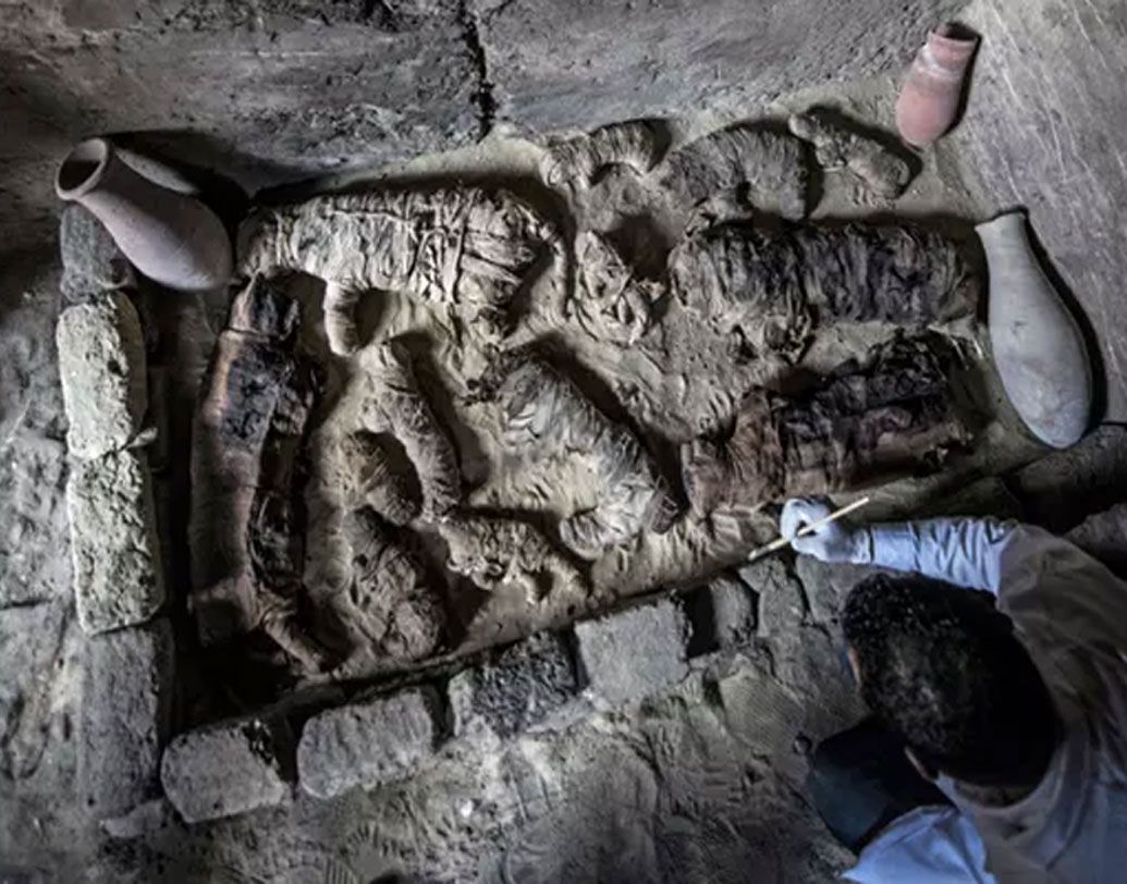 সাড়ে চার বছর আগের ২১টা বিড়ালের মমির সন্ধান পাওয়া গিয়েছে এই খননের সময়েই।