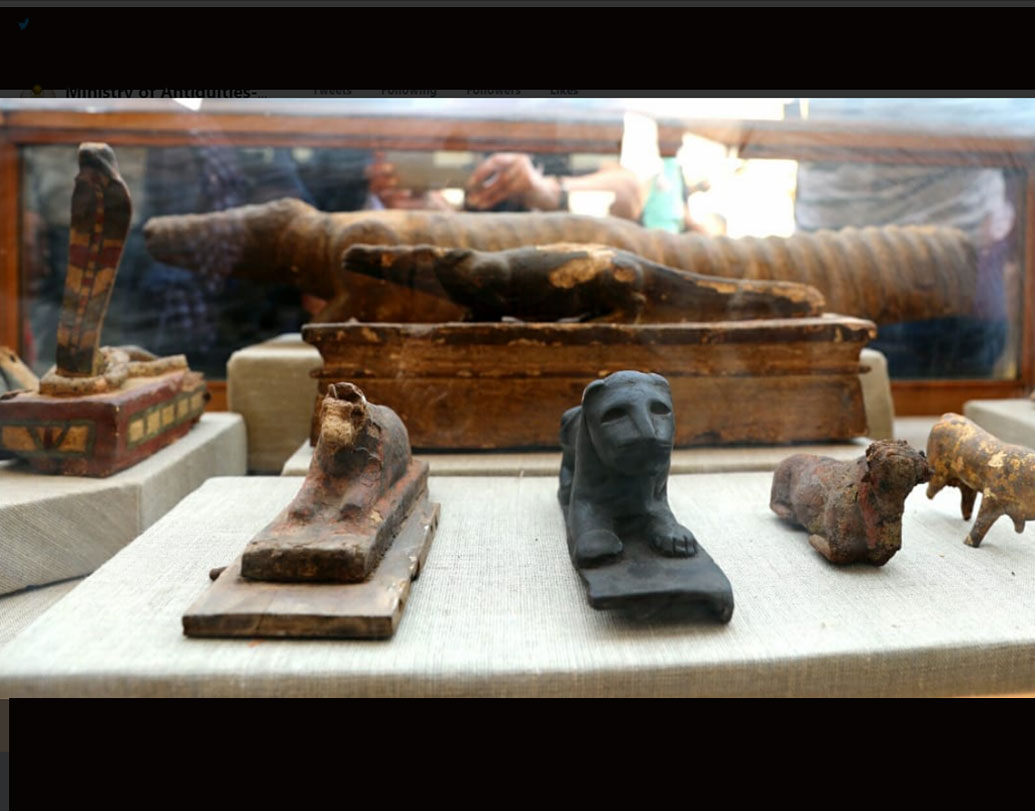 বিড়াল ছাড়াও মিলেছে কুমিরের সমাধি। অ্যামিউলেট, ফ্যালকন, প্রাচীন আমলের পাত্র, লেখার সামগ্রী ইত্যাদিও মিলেছে খননের সময়ে। একটি ছোট প্রদর্শনীর আয়োজন করা হয়েছে সমাধি ক্ষেত্র ঘিরে।