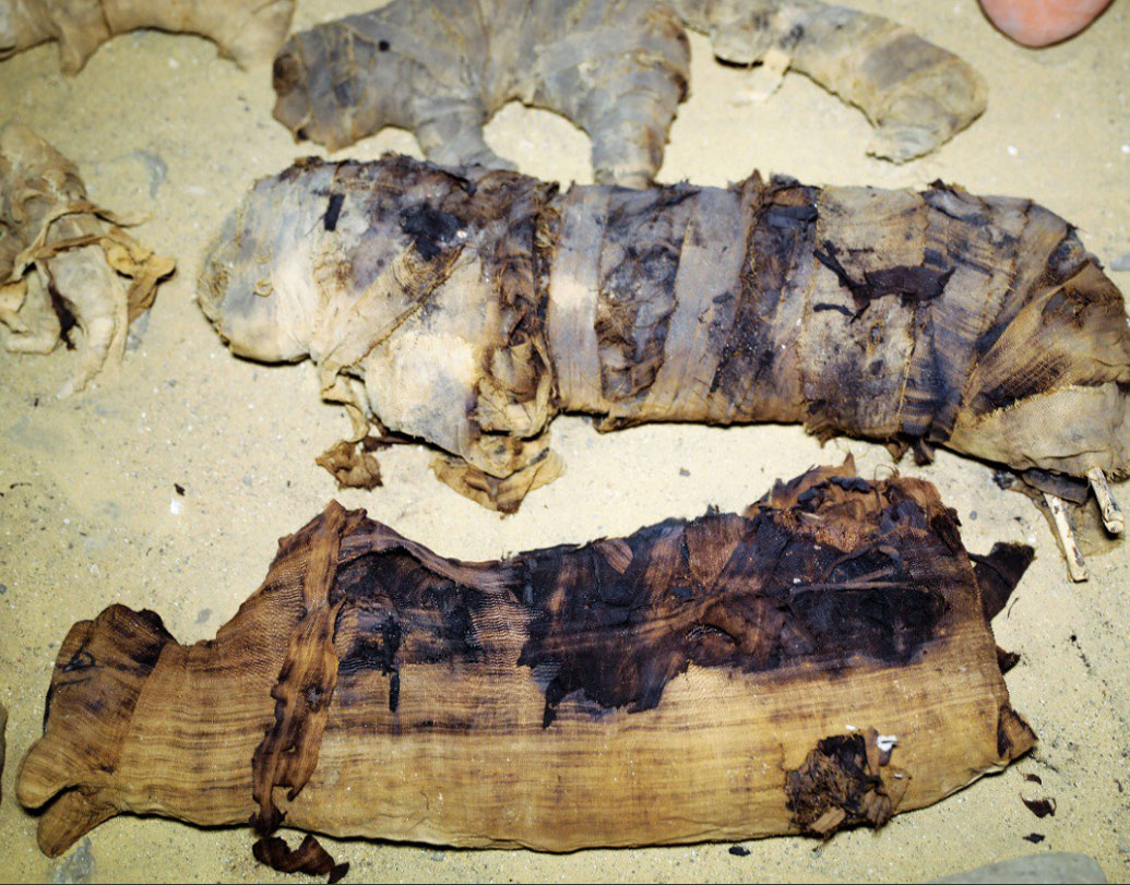 বিড়াল দেবতা বাস্তেতের মমি পাওয়ার পর স্থানীয়দের অনেকেই মনে করছেন, মিশরীয়দের জীবনে কোনও ভাল ঘটনা ঘটতে চলেছে।