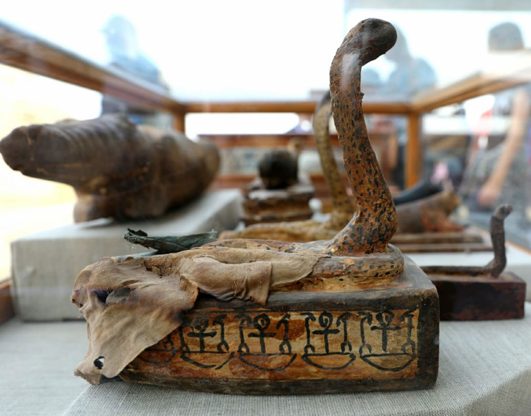 কারুকাজ করা সাপের মূর্তিও মিলেছে সমাধিস্থল থেকে, যেগুলি প্রাচীন আমলের কাঠের তৈরি।