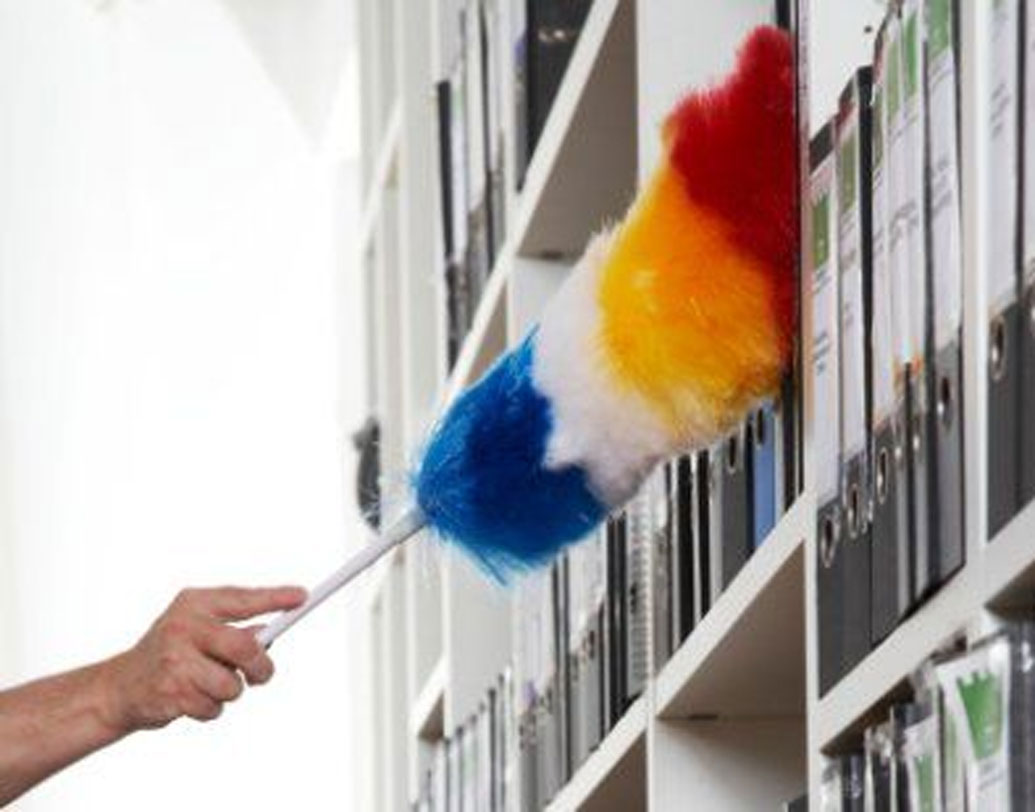 ব্রিটেনের একটি সংস্থা ‘ন্যাচারিস্ট ন্যুড ক্লিনিং সার্ভিস’ এই পরিষেবা শুরু করেছে।