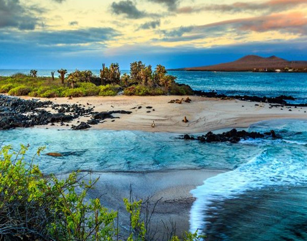 গ্যালাপ্যাগোস দ্বীপ তৈরি হয়েছিল মাটির নীচ থেকে ভূপৃষ্ঠের উপরে ম্যাগমা বেরিয়ে এসে। ধীরে ধীরে যা শীতল হয়ে তৈরি হয় দ্বীপটি। কিন্তু তুলনামূলক আধুনিক ম্যাগমা থেকে তৈরি হওয়া যে পাথর, তার তুলনায় এই পাথরটির বয়স বেশি। এতেই ঘনাচ্ছে রহস্য।