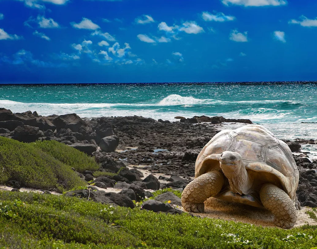 ২০১৯ সালের জুন মাস নাগাদ নতুন একটা প্রকল্প শুরুর কাজে ব্যস্ত রয়েছেন বিজ্ঞানীরা। জার্মান রিসার্চ ফাউন্ডেশনও সহায়তা করছে এই গবেষণায়