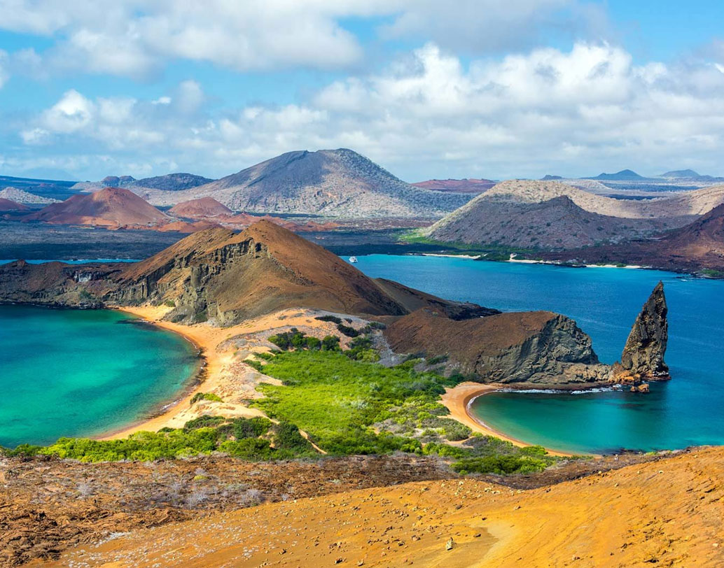এই প্রকল্পে গ্যালাপ্যাগোস ন্যাশনাল পার্ক কর্তৃপক্ষ ও জার্মানির জোহানেজ গুটেনবার্গ বিশ্ববিদ্যালয় এক যোগে কাজ করছে।