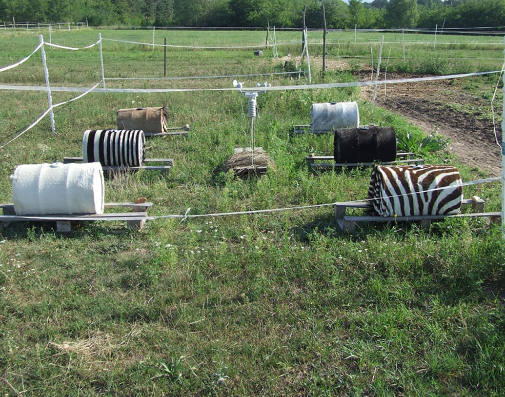 বেশ কিছু ব্যারেলের মাধ্যমে পরীক্ষা করে তাঁরা বলেন, জেব্রার ডোরাকাটা বাঁকা দাগ কখনই শরীরের ‘কোর টেম্পারেচার’ কমাতে পারে না। কারণ একই সাদাটে ছাই রঙের উপরে সমঘনত্বের ডোরাকাটা দাগের ব্যারেল ও জেব্রার ডোরাকাটা দাগের ব্যারেলের অভ্যন্তরীণ তাপমাত্রায় পরিবর্তন হয়নি।