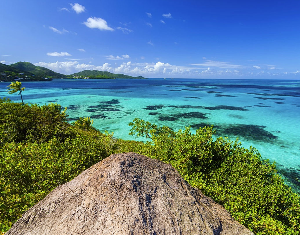 সামুদ্রিক জমিতে কোরাল ফার্মিংয়ের জন্য প্রতি মাসে কলম্বিয়ার সান আন্দ্রেজ ও প্রভিদেনশিয়ার ৪০ জন মৎস্যজীবী এগিয়ে এসেছেন।