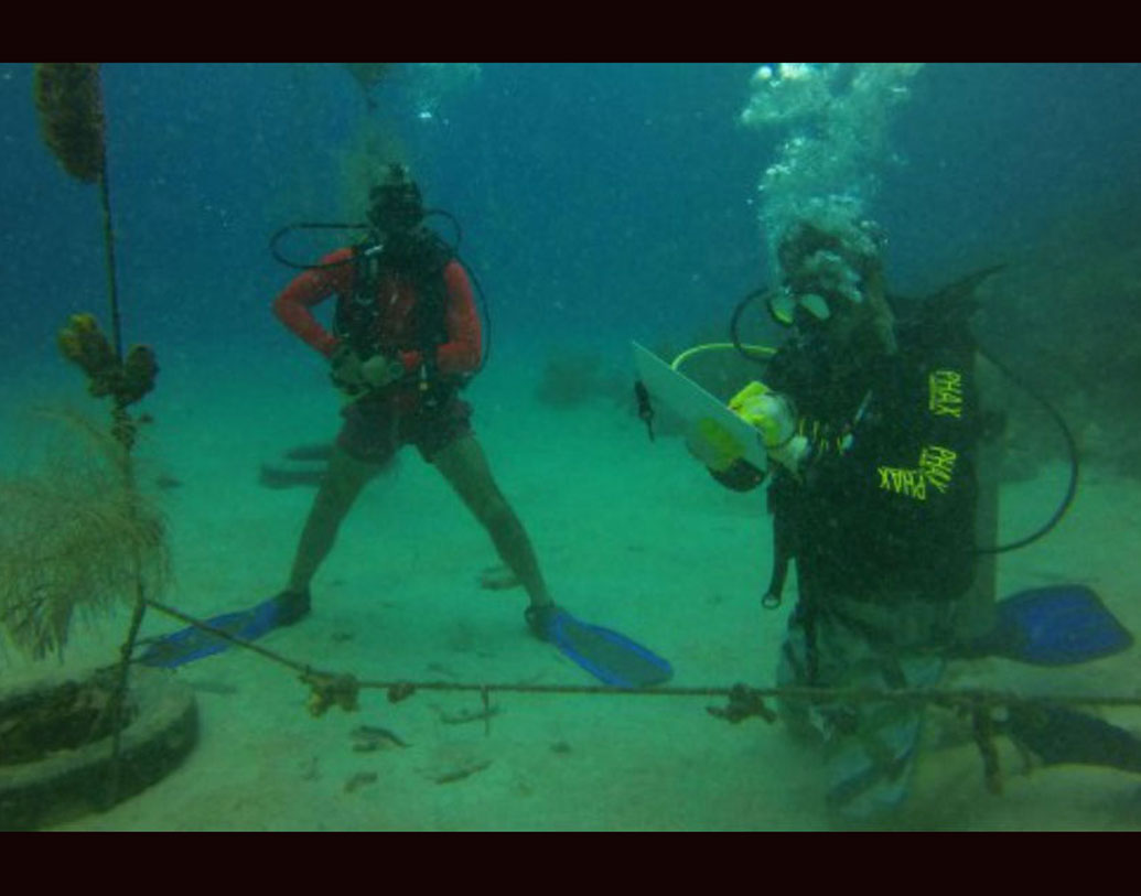 প্রথম ধাপের প্রবালগুলি সমুদ্রে রাখা হয়েছে। বেঁচেও গিয়েছে তারা। এই আর্কিপেলাগো কলম্বিয়ার ৮০ শতাংশ প্রবালের বাসস্থান। ক্যারিবিয়ান সাগরের দ্বিতীয় বৃহত্তম প্রকল্প এটি।