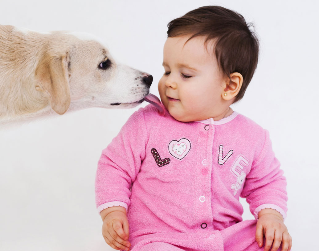 প্রভুর বা পছন্দের মানুষের গা চেটে দিলে কুকুরের শরীর থেকে এন্ডরফিন ক্ষরণ হয়। যা তাকে মানসিক আরাম ও তৃপ্তি দেয়। তাই ঘন ঘন গা চাটতে সে পছন্দ করে।