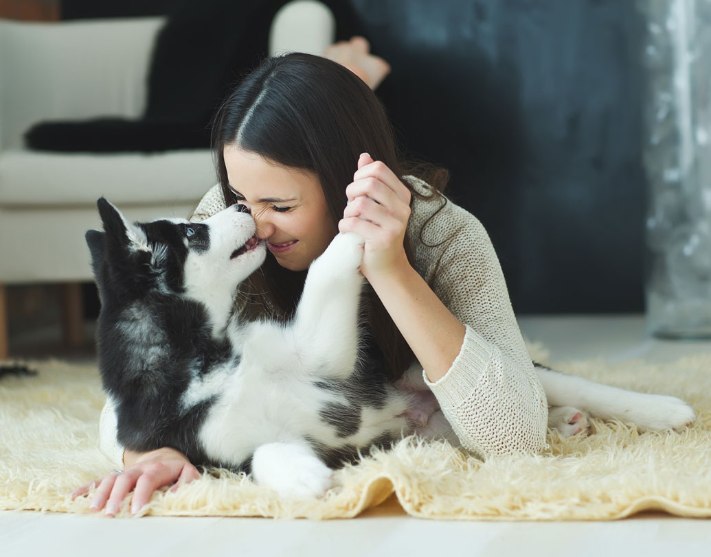 আরও একটি কারণে কুকুর শরীর চেটে দেয়। জানেন তা কী? আমাদের শরীরের ঘামে ফেরোমন নামক একটি রাসায়নিক পদার্থ থাকে। তা থেকে আমাদের মেজাজ বোঝা যায়। কুকুরের মুখের লালা সেই ফেরোমনের সংস্পর্শে এলে চার পাশএর মানুষের মন-মেজাজও সে বুঝতে পারে।