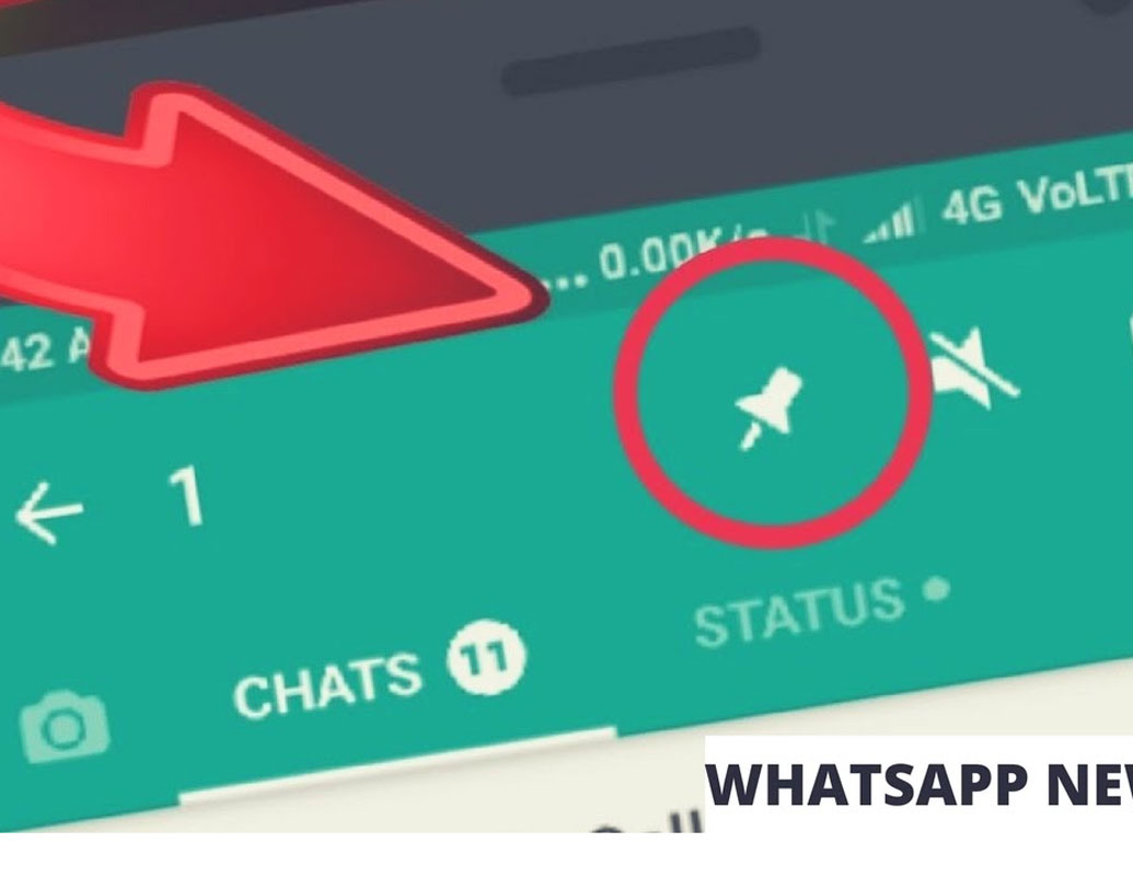 পিনচ্যাট: তিনটি পর্যন্ত চ্যাট পিন করে উপরে রাখা যায় এতে। বিশেষ চ্যাট সিলেক্ট করে স্ক্রিনের উপরে পিন আইকনে ক্লিক করলেই হয়ে যাবে এটি। ফের ট্যাপ করে আনপিন করা যায়। আইফোনে ডানদিকে সোয়াইপ করতে হয় আনপিন করতে চাইলে।