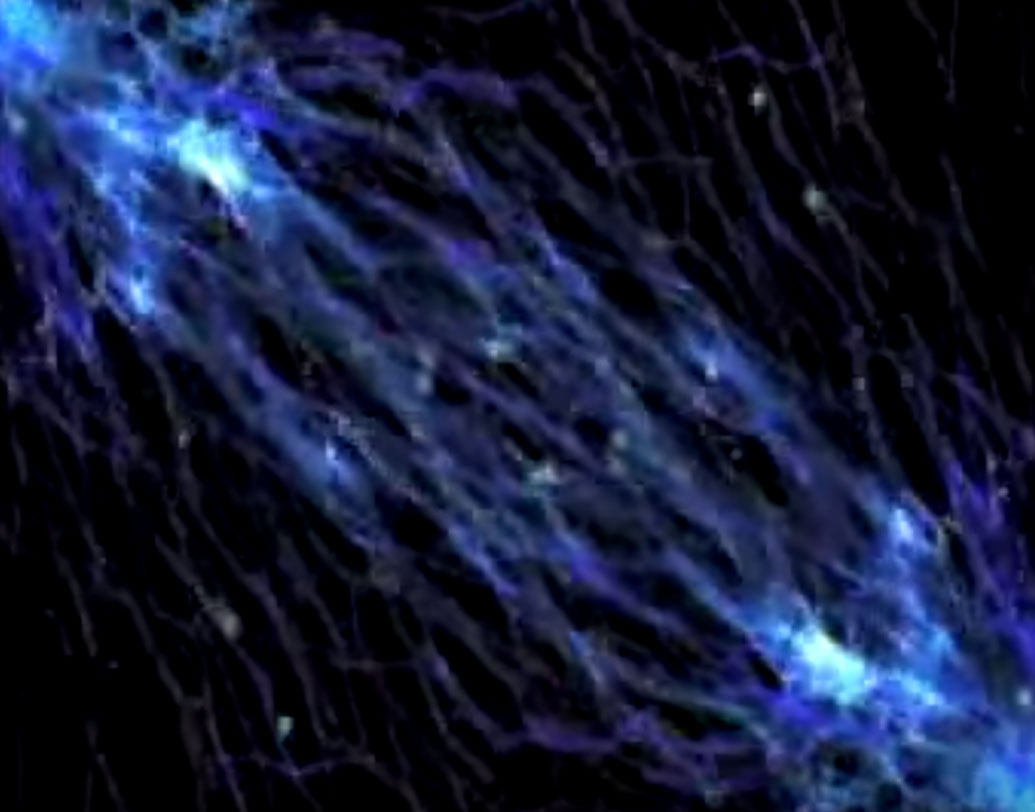 সেন্ট এলমো’জ ফায়ার: এতেও বাজ পড়ার মতোই তীব্র আলোর মুখোমুখি হন বিমানচালকরা। উচ্চ তড়িৎশক্তিসম্পন্ন এলাকার মধ্যে বিমান নিয়ে প্রবেশ করলে যদি ঝড় ওঠে বা নীচে কোনও আগ্নেয়গিরির বিস্ফোরণ ঘটে, তা হলে আকাশের উচ্চ তড়িৎশক্তিসম্পন্ন এলাকাও উদ্দীপ্ত হয়। তখন একঝাঁক বিদ্যুতের তীব্র আলোর নাচানাচি দেখতে পান তাঁরা।