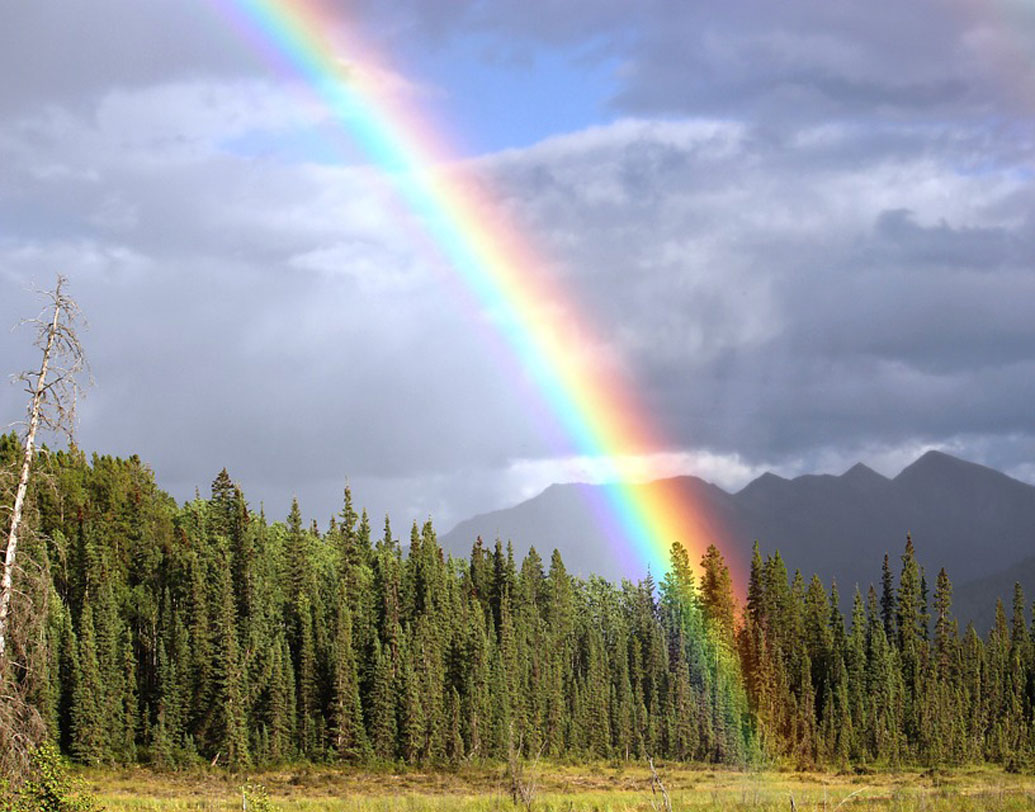 রামধনু: বিমানের সামনে রামধনু পড়বে এমনটা ভাবা অবৈজ্ঞানিক। কিন্তু বিমানচালকদের দাবি, বিমানের নীচে বা তার উড়ানপথের এক ধারে তৈরি হওয়া রামধনু প্রায়ই দেখতে পান তাঁরা। সাত রঙের আভাগুলোও অনেক সামনে থেকে টের পান তাঁরা।