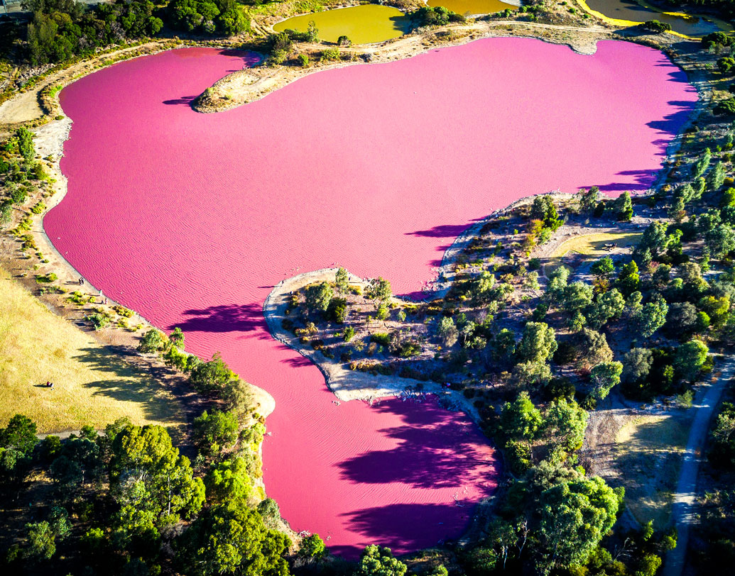 পিঙ্ক লেক: ককপিটে বসে গোলাপি রঙের হ্রদ দেখতে পাওয়া নিয়ে উত্তেজিত থাকেন বিমানচালকরাও। পশ্চিম অস্ট্রেলিয়ার হিলিয়ার হ্রদ বা ব্রিটিশ কলম্বিয়া, স্পেন ও কানাডায় এমন কিছু হ্রদ রয়েছে। উচ্চ লবণাক্ত জল ও শ্যাওলার কারণে এই ধরনের হ্রদগুলির রং গোলাপি হয়ে যায়। মাঝ আকাশের উচ্চতা পেরিয়ে এই রং বিমানচালকদের চোখে আরও গাঢ় হয়ে পৌঁছয়।