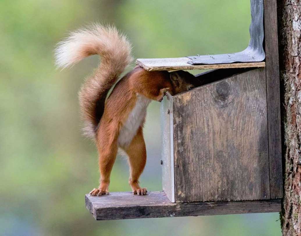বেশি খুঁজে আর লাভ নেই। না তো আর কোনও চিঠি আছে। আর না ফ্লিপকার্টের কোনও ডেলিভারি।