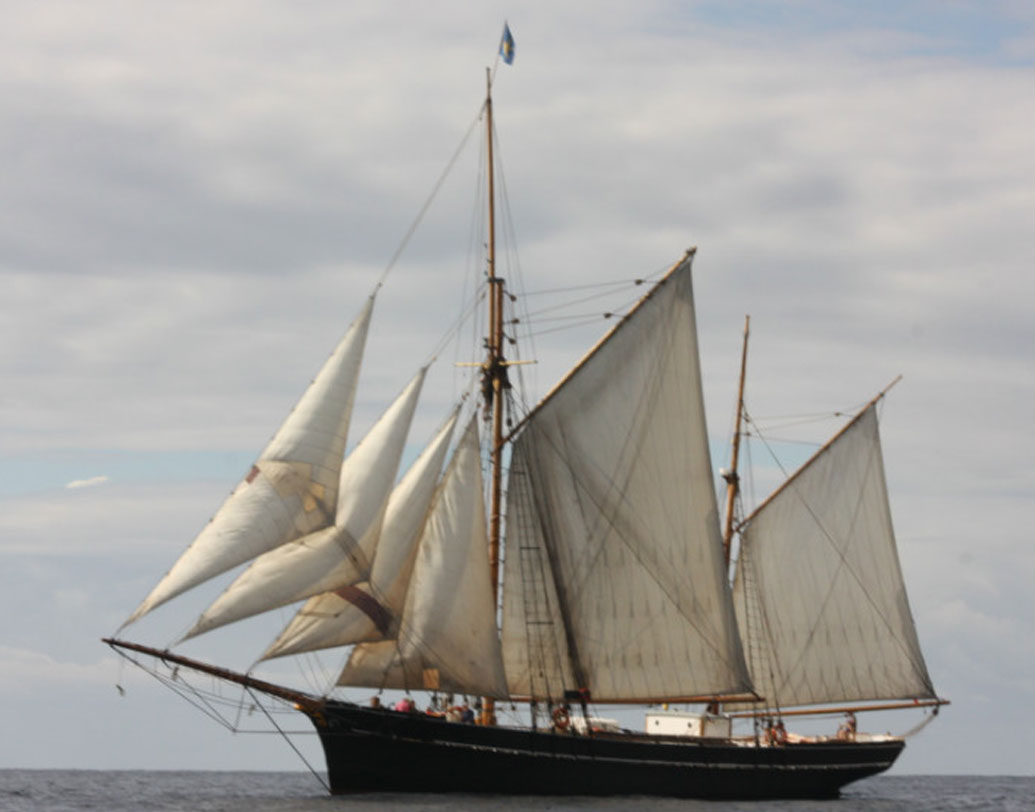 মেক্সিকো থেকে ১৯ শতকের মাঝামাঝি এই চকোলেটকে বাণিজ্যিক ভাবে নিয়ে আসা হয়। ১৬৬৩-১৬৬৮ সালের মধ্যে কৃষিজীবীরাও ফসল ভাল হওয়ার জন্য জমিতে কোকো বীজ ব্যবহার করতেন। কিন্তু ৫৪৫০ বছর আগে প্রথম চকোলেট খেয়েছিল মানুষ, এটা একেবারেই নতুন আবিষ্কার।