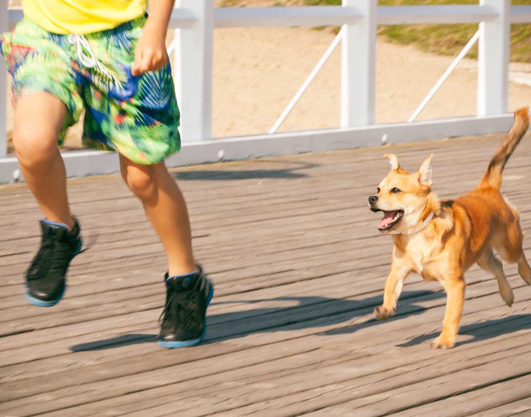 কুকুরদের প্রতি অবহেলা, মালিক হয়েও পোষ্যর প্রতি উদাসীন মনোভাব ও অযত্ন রুখতেই এই পদক্ষেপ জিয়ানের স্থানীয় প্রশাসনের। এর আগেও অনলাইন দুনিয়ায় প্রোফাইলের বিশ্বাসযোগ্যতা ও শপিং কালচারের উন্নতি ঘটাতে চিনে এমন ক্রেডিট পয়েন্ট সিস্টেম চালু করেছিল বেসরকারি প্রযুক্তি সংস্থা।