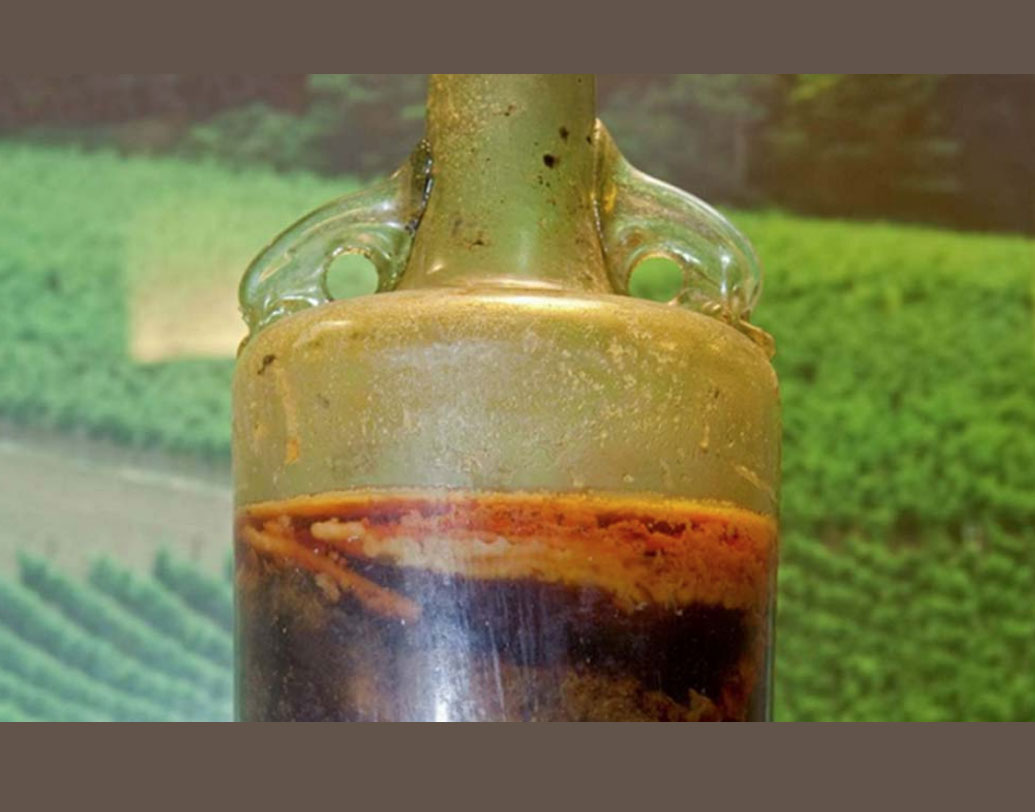 চিনের সরকারি সংবাদপত্র জানিয়েছে, এর আগেও পশ্চিম হান বংশের সময়কালের অ্যালকোহলের সন্ধানমিলেছে। চাল থেকে তৈরি ওই ধরনের ওয়াইনও বড়সড় ব্রোঞ্জের পাত্রে রাখা ছিল। তবে তা এতটা প্রাচীন ছিল না। বিভিন্ন সামাজিক অনুষ্ঠানের অঙ্গ ছিল ওই ওয়াইন।