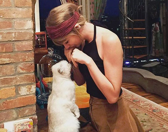 অলিভিয়া বেনসন
মার্কিন গায়িকা টেলর সুইফ্টের পোষা বিড়াল অলিভিয়া। তবে গায়িকার টাকায় খায়, পরে না সে। বরং সোশ্যাল মিডিয়া থেকে প্রচুর আয় করে। পানীয়, জুতো-সহ নানা বিজ্ঞাপনে মুখ দেখিয়েছে। তার মোট সম্পত্তির পরিমাণ ৯ কোটি ৭০ লক্ষ মার্কিন ডলার। ভারতীয় মুদ্রায় যা প্রায় ৬৮০ কোটি টাকা।