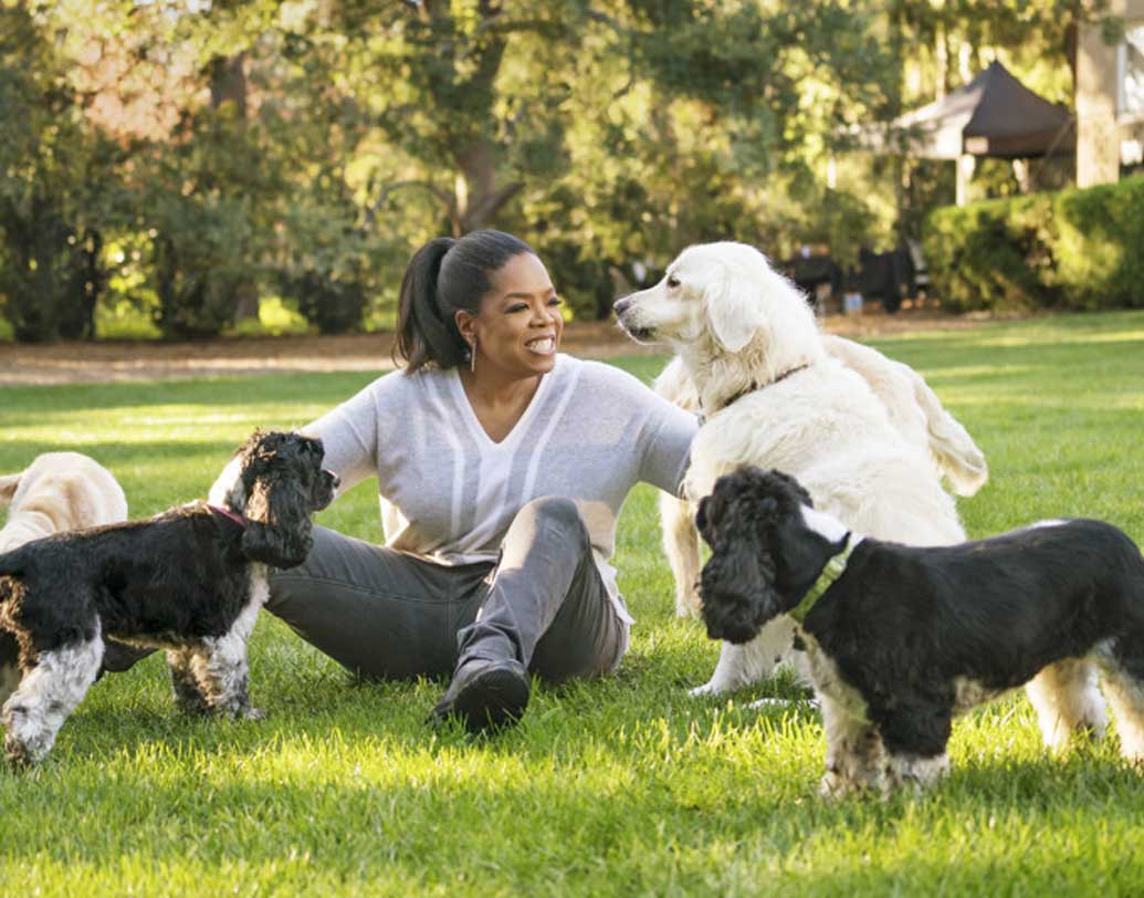 লিউক, লায়লা, সেডি, সানি এবং লরা
বিখ্যাত অভিনেত্রী এবং টেলিভিশন সঞ্চালক ওপরা উইনফ্রির পোষ্য এই পাঁচ সারমেয়। তাদের জন্য ৩ কোটি মার্কিন ডলার রেখে যাবেন বলে জানিয়েছেন ওপরা। ভারতীয় মুদ্রায় তা ২০০ কোটিরও বেশি।