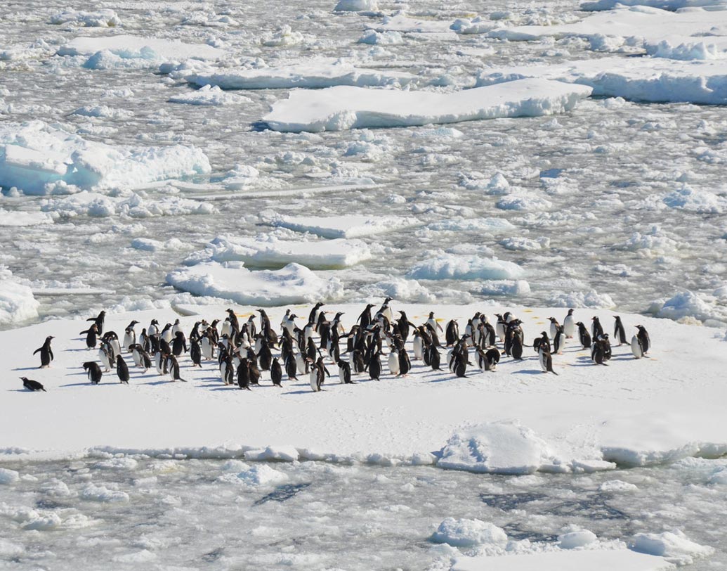 এমনিতে এই শহরের বার্ষিক গড় তাপমাত্রা থাকে হীমাঙ্কের ২.৩ ডিগ্রি নীচে। আবার শীত হানা দিলে এই তাপমাত্রাই নেমে যায় মাইনাস ৪৭ ডিগ্রি সেলসিয়াসে!