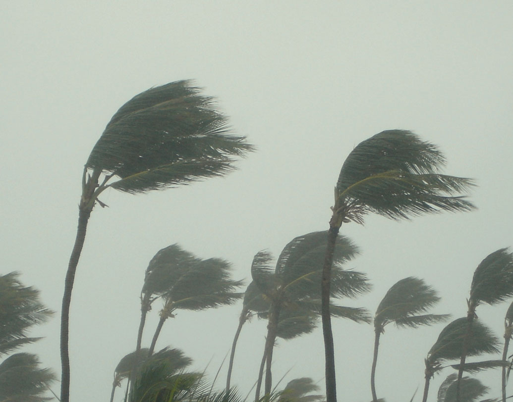 কলকাতা-সহ দক্ষিণবঙ্গের কয়েকটি জেলায় সোমবার বিকেল থেকেই বৃষ্টি শুরু হয়েছে। সঙ্গে বইছে ঝোড়ো হাওয়া। দুই মেদিনীপুর, পুরুলিয়া, হাওড়া, হুগলি, বাঁকুড়া, পশ্চিম বর্ধমান ও ঝাড়গ্রামে বৃষ্টির পরিমাণ বাড়তে পারে। আগামী মঙ্গলবারও বৃষ্টি জারি থাকবে এই সব জেলায়।