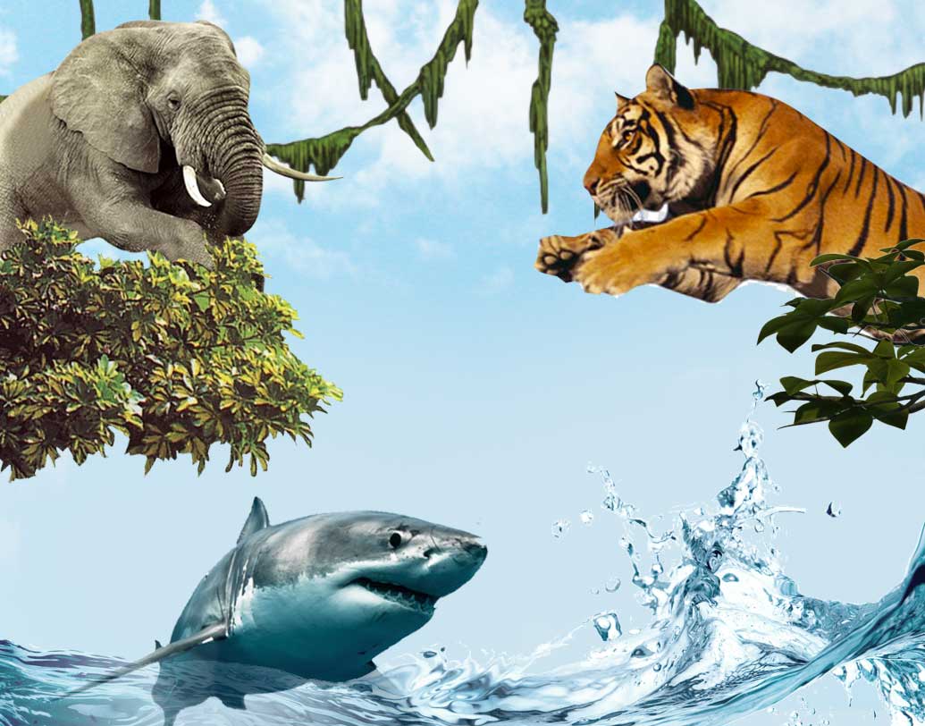 Some less known incredible facts about animals that may surprise you a lot dgtl