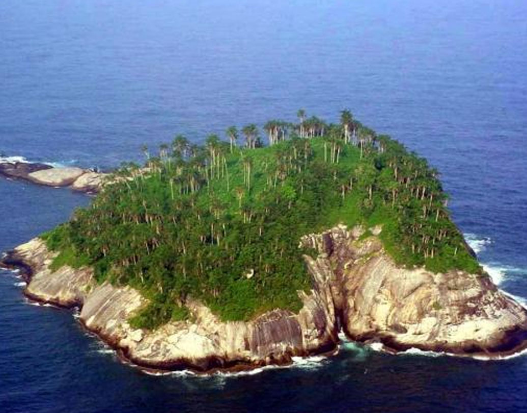 দ্বীপটিকে নিয়ে কয়েকটি গল্প প্রচলিত রয়েছে। সমুদ্রে মাছ ধরতে গিয়েছিলেন এক মত্স্যজীবী। খিদে পাওয়ায় খাবারের খোঁজে দ্বীপে প্রবেশ করেছিলেন। পর দিন নাকি তাঁর রক্তাক্ত দেহ পাওয়া যায়।