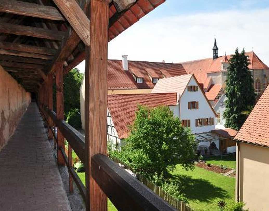 জার্মানের বাভারিয়া স্টেটের নর্ডলিনজেনে রয়েছে এই হিরে। কিন্তু এই হিরে যে শুধুমাত্র রত্ন হিসাবে জরুরি তা নয়। এই হিরের গুরুত্ব অন্য দিকে।