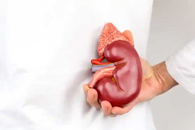 Illegal kidney racket is active in hospital areas 