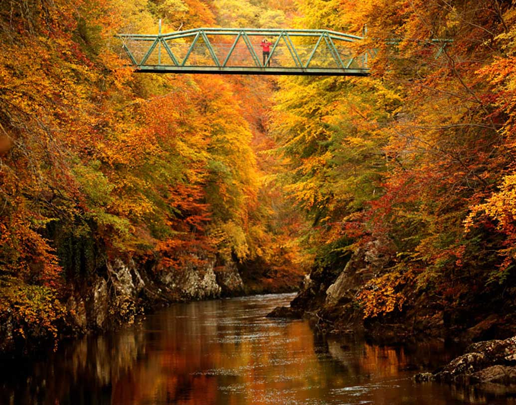 ব্রিটেনের স্কটল্যান্ডে গ্যারি নদীর উপরে সেতুতে এক মহিলা দাঁড়িয়ে। এই প্রাকৃতিক দৃশ্যের ছবিটি নিয়েও সোশ্যাল মিডিয়া সরগরম হয়েছিল।