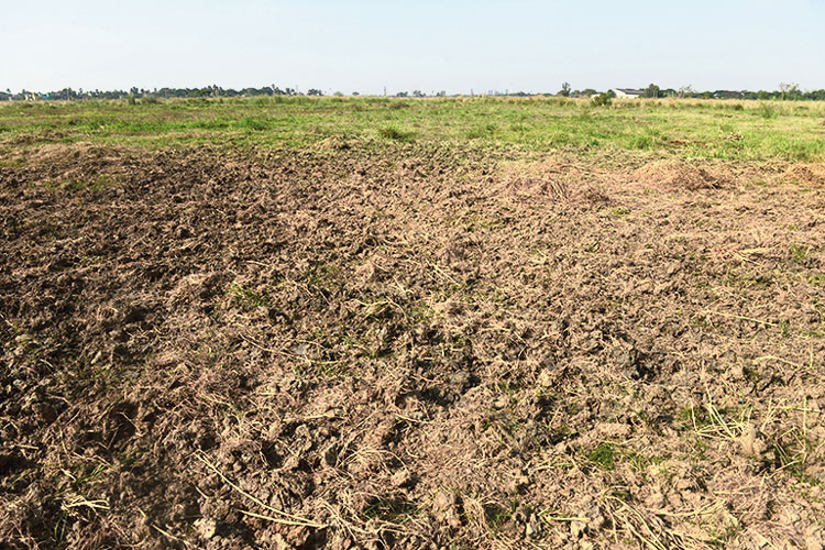 Cannot Singur be a modern industry hub? 