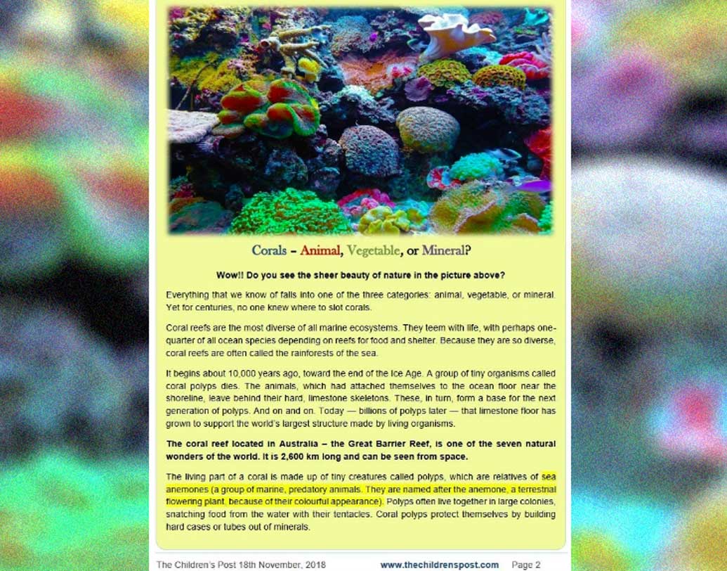 মূলত ৮-১৩ বছরের বাচ্চাদের জন্যই তৈরি এই খবরের কাগজ। নিধির দাবি, গোটা দেশে বাচ্চাদের সংবাদপত্র বলতে শুধু এটিই। নিধি বলছেন, “প্রথমে ৫০ জন পাঠক দিয়ে শুরু। আর এই মুহূর্তে ৩৫০০-এরও বেশি বাচ্চা আমাদের এই কাগজের পাঠক।” সংখ্যাটা যে খুব শীঘ্রই আরও কিছুটা বেড়ে যাবে তাতেও আশাবাদী নিধি।