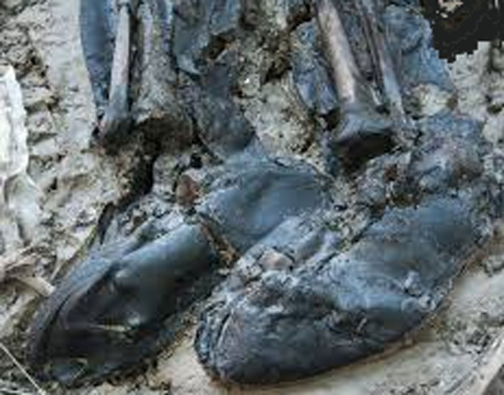 চামড়ার ‘কোয়ার্টার্স’ সুতো দিয়ে সেলাই করা ছিল বুটটি। মোমের আস্তরণের সুতোও রয়েছে তাতে, জানিয়েছেন পুরাতত্ত্ববিদরা। মোলা হেডল্যান্ড ইনফ্রাস্ট্রাকচারের বিশেষজ্ঞ দলের তরফে বেথ রিচার্ডসন বলেন, এটি অক্ষত ছিল কারণ লন্ডনে চামড়ার জিনিস বেশ ভাল থাকে।