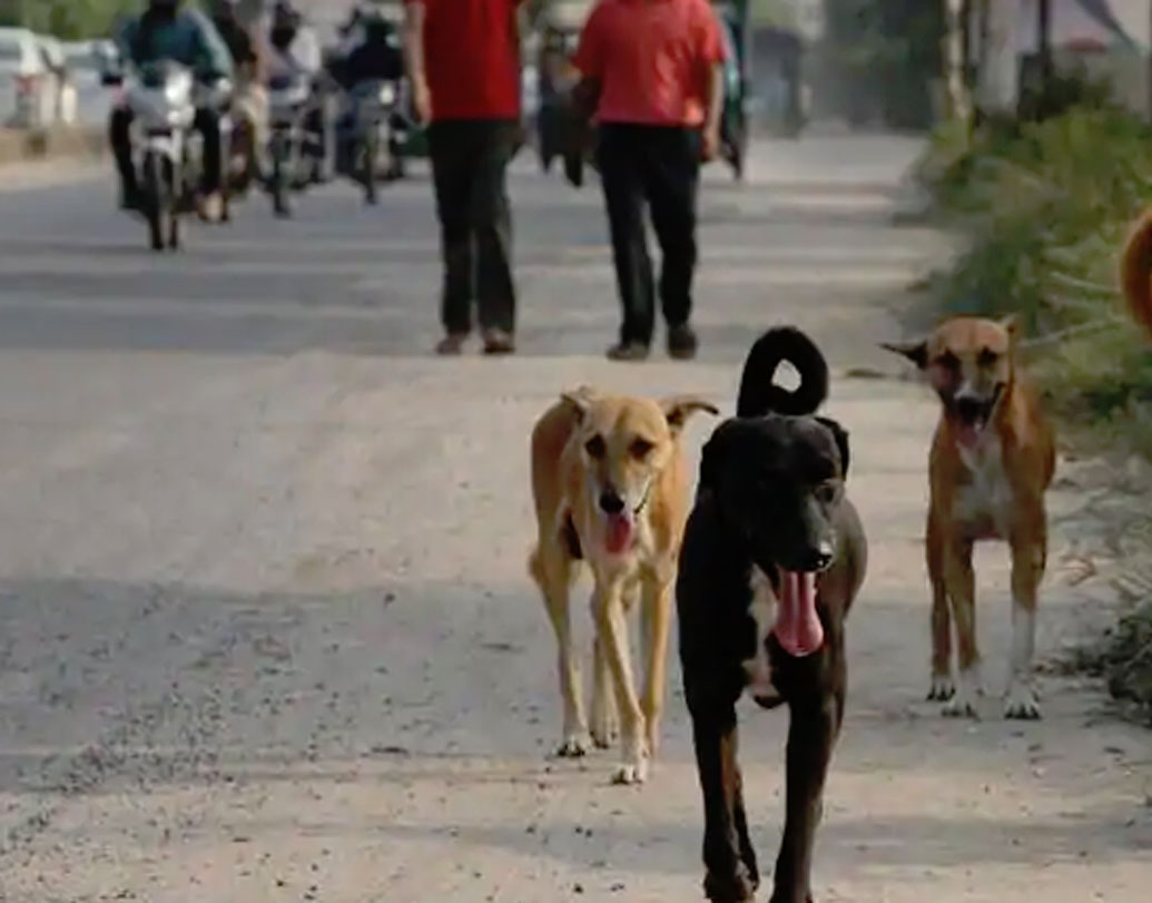 এ বিষয়ে অনেকেই অল্পবিস্তর কারণ হয়ত জানেন। তবে সেই কারণগুলো অনেক ক্ষেত্রেই মুখে মুখে ছড়িয়েছে। অনেক তর্ক-বিতর্কও আছে। কিন্তু এর আসল কারণ শুনলে অবাক হবেন।