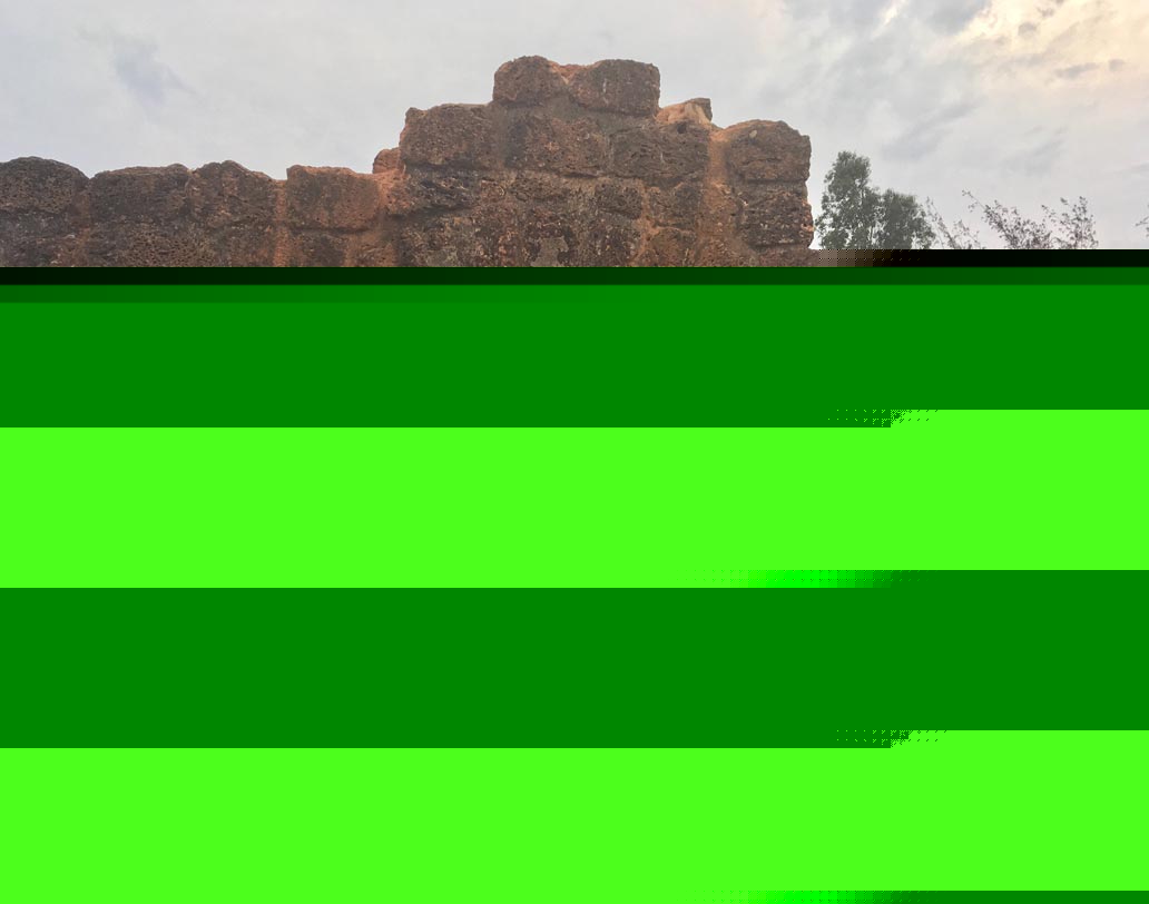 গোয়ায় বেড়ানোর এই ছবিগুলি শেয়ার করেছেন সায়নী নিজেই।