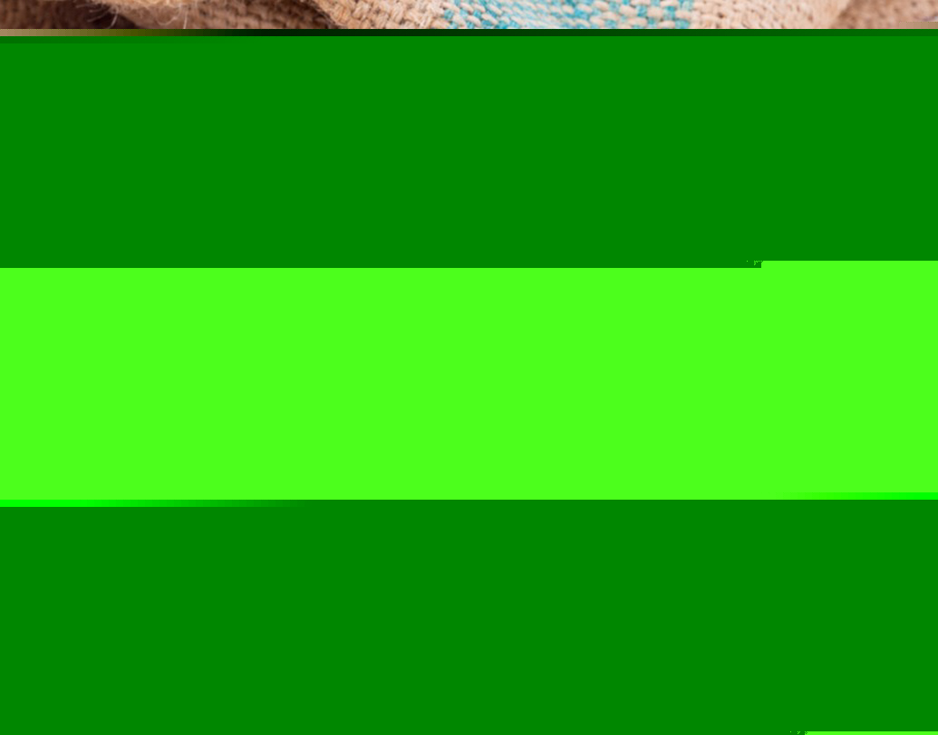 পিঠে, কোমরে এবং তলপেটে ব্যথা এখন রোজকার সমস্যার পর্যায়ে পৌঁছে গিয়েছে। আট থেকে আশি, কমবেশি সবাই এই সমস্যায় ভোগেন। এই সমস্যা থেকে রেহাই পেতে উপায় কী? মুঠো মুঠো পেনকিলার? একদমই নয়, বরং চিকিৎসকেরা জোর দিচ্ছেন ভিটামিন সমৃদ্ধ খাবারের দিকে।