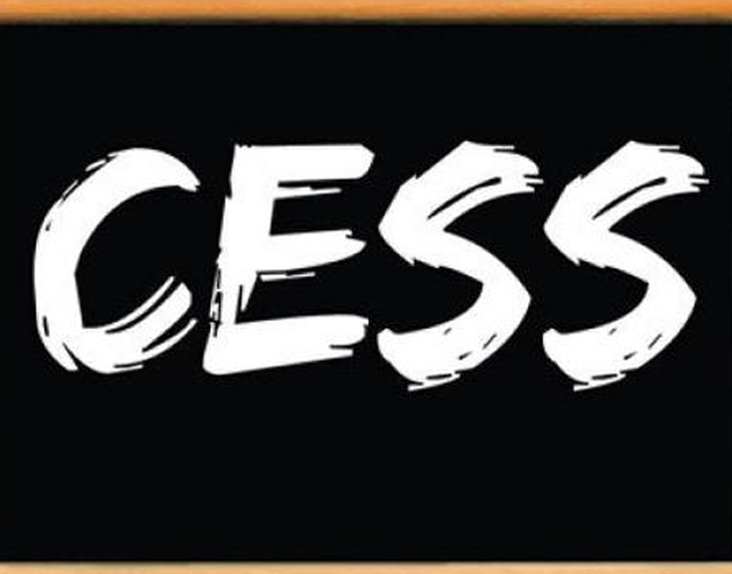 সেস-এর হার বাড়ানো হয়েছে। আগে বছরে মোট আয়ের উপর করদাতাদের ৩ শতাংশ সেস দিতে হত। এ বার থেকে তা বাড়িয়ে ৪ শতাংশ করা হয়েছে।