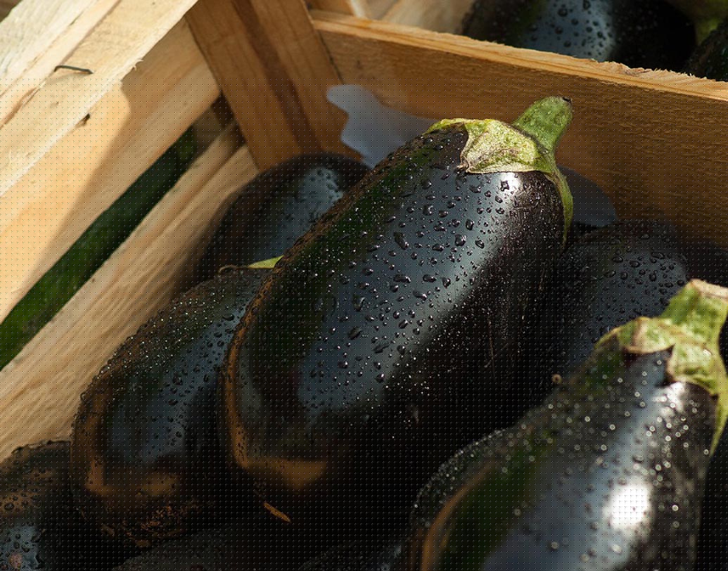 বেগুন: নামে বেগুন হলেও এই সব্জির কিন্তু রয়েছে ভরপুর পুষ্টিগুণ। ১৩ রকমের ফেনোলিক অ্যাসিড সমৃদ্ধ বেগুন ক্যানসার প্রতিরোধে সাহায্য করে।